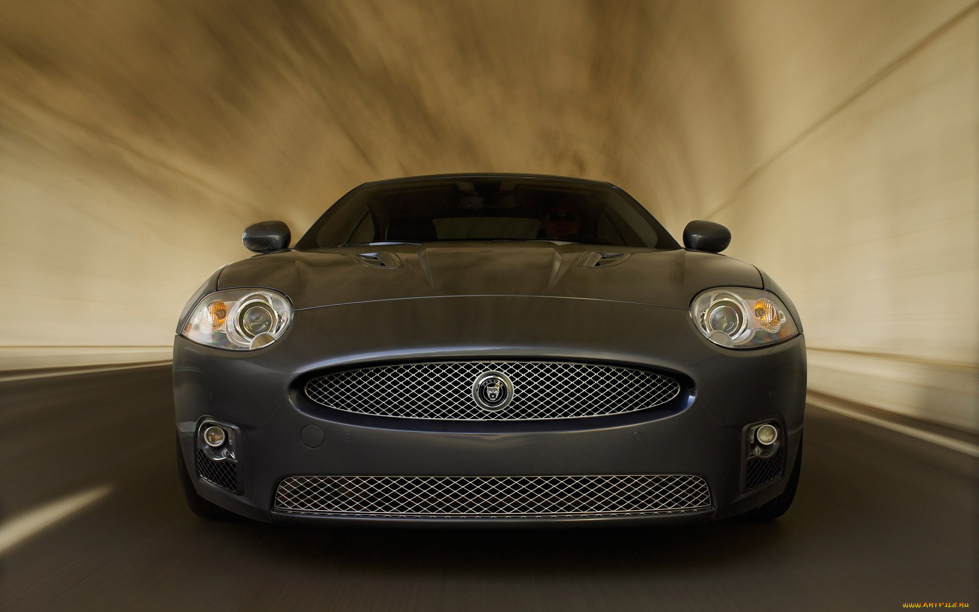 , jaguar